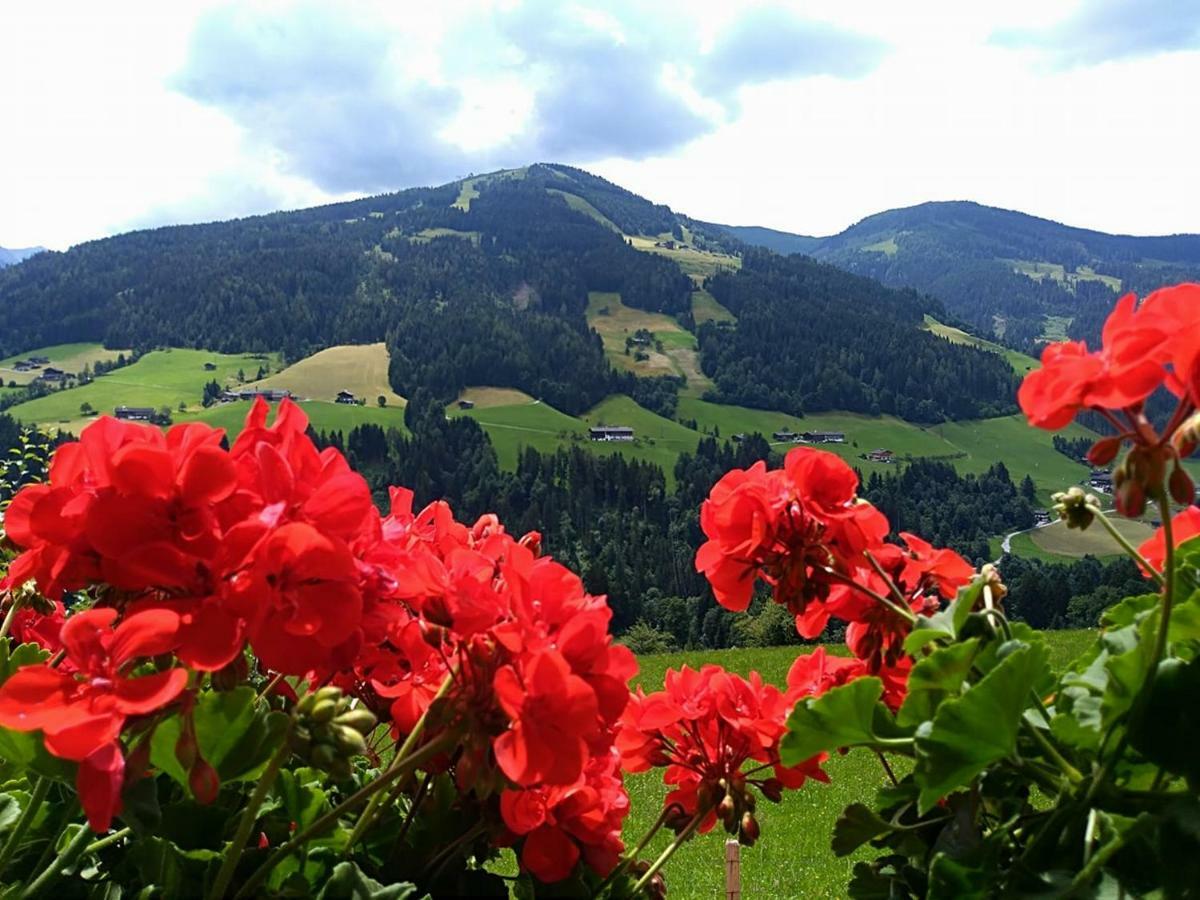 Aussermooserhof Alpbach Exteriör bild